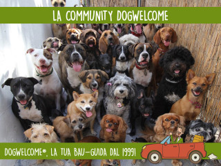 La Community Dogwelcome di viaggiatori con cani e gatti al seguito