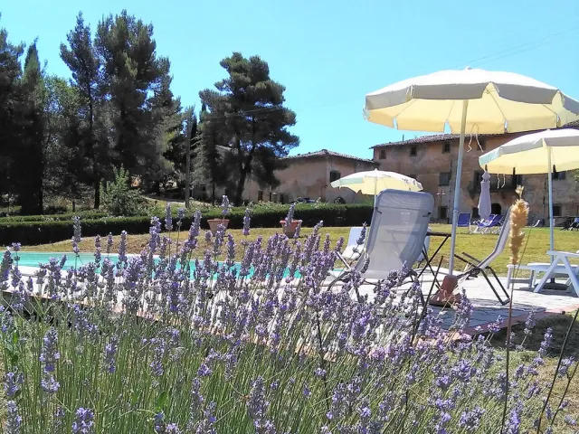 Vacanze dog friendly in Toscana in agriturismo con piscina, benvenuti cani grandi, anche più di un cane Vacanze dog friendly in Toscana in agriturismo con piscina, benvenuti cani grandi, anche più di un cane